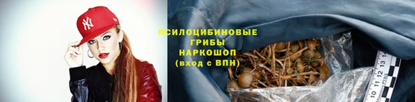 mdpv Алзамай